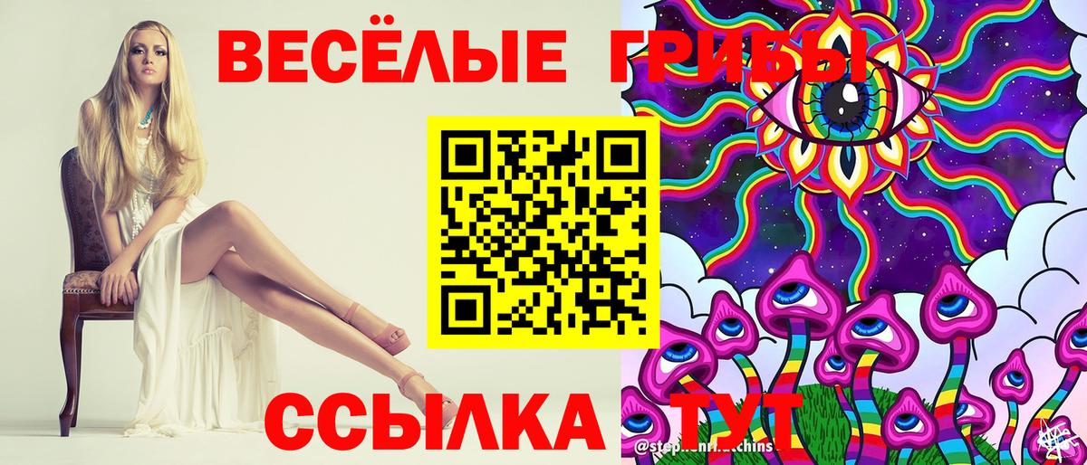 Псилоцибиновые грибы мухоморы Спасск-Дальний