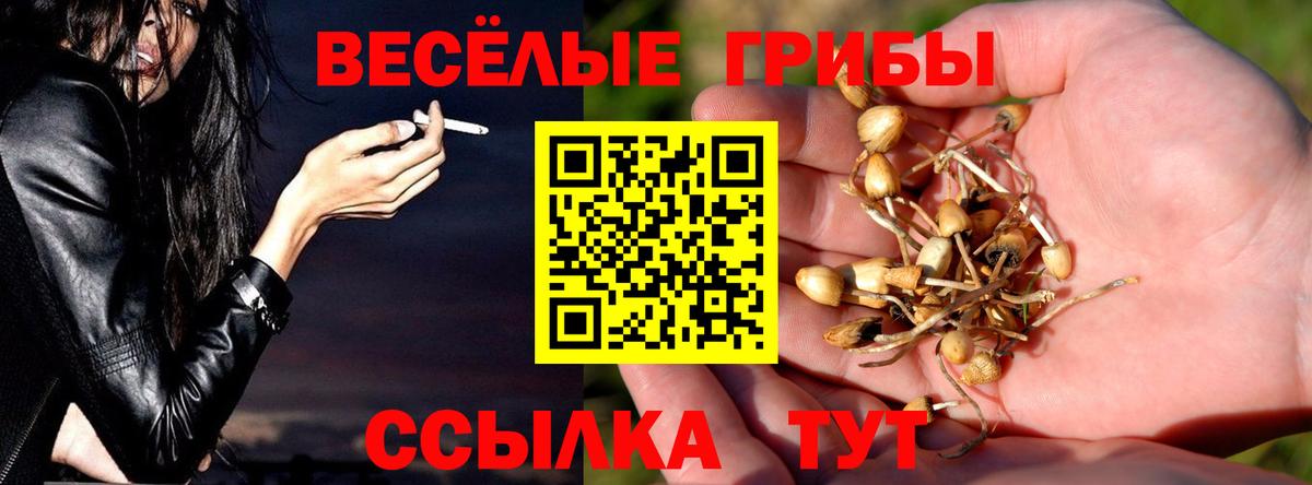 Псилоцибиновые грибы прущие грибы  Вход с VPN  Спасск-Дальний 